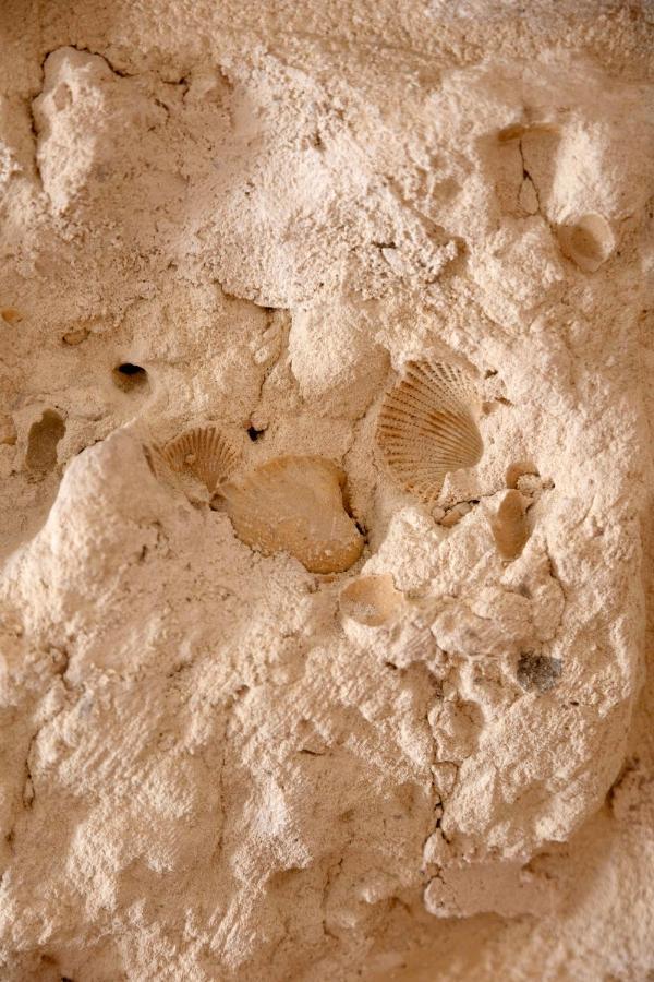 Apulian House Hotel Brindisi Exterior photo